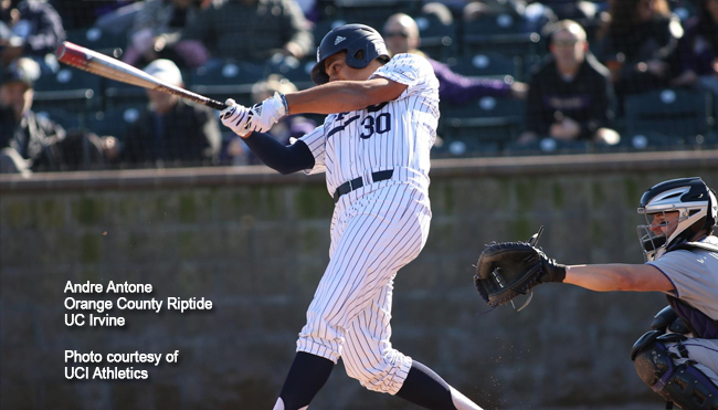 Andre Antone - Baseball - UCI Athletics